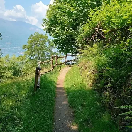 아파트 Rosi 리에르나